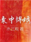 《囊中锦绣》
