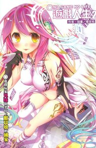 《No game No life/游戏人生》