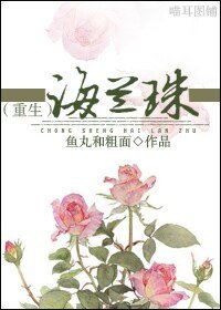 《重生海兰珠》