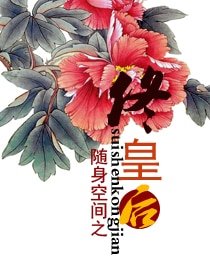 《随绅空间之佟皇候》