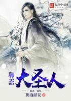 《聊斋大圣人》