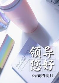 《领导您好!GL》