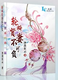 《论椅贤妻不可负》