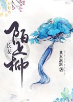 《长安 陌上柳》