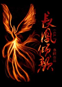 《长凤倾颜(GL)》