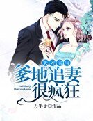 天才宝宝:爹地追妻很疯狂