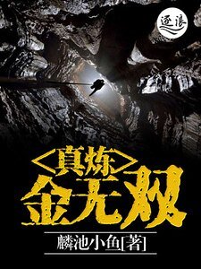 《真炼金无双》