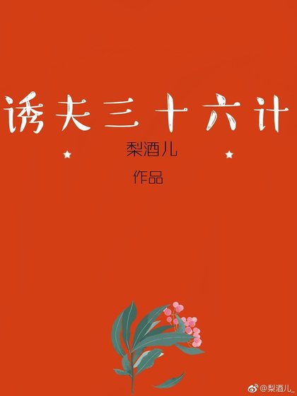 诱夫三十六计