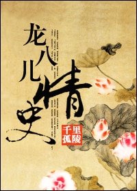 《龙八儿情史》