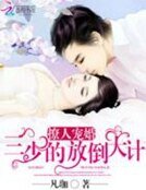 《宠婚到底:三少的宝贝妻》