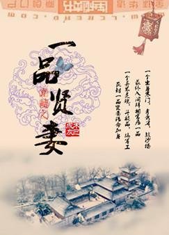 《穿越之一品贤妻》