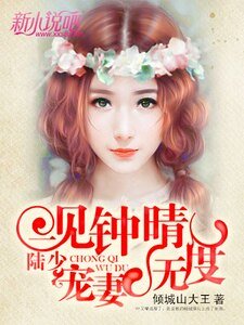 《一见钟晴:陆少,宠妻无度》