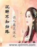 《沉醉不知归路》