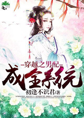 《穿越之男配成全系统》