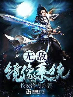 《无敌镜像系统》