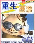 《重生西游》