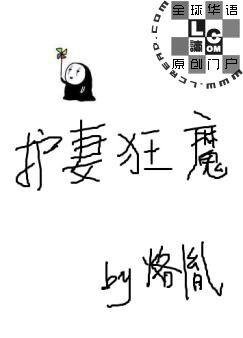 《护妻狂魔》