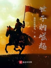 《世子的崛起》