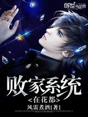 《败家系统在花都》