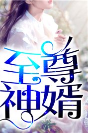 《至尊神婿叶昊郑漫儿》
