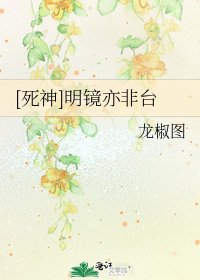 [死神]明镜亦非台