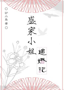 《盛家小姐追婚记》