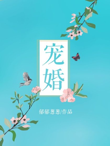 《宠婚》