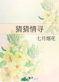 猜猜情寻