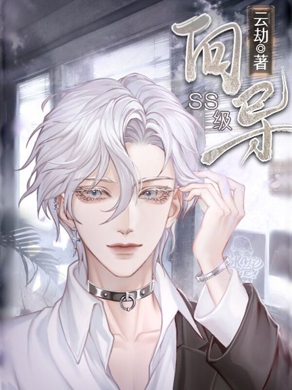 《SS级向导》