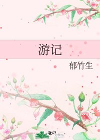 《游记》