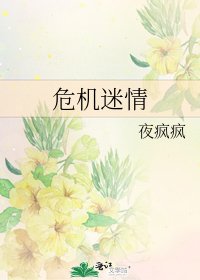 《危机迷情》