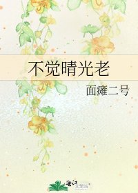 《不觉晴光老》