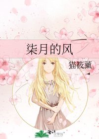 柒月的风