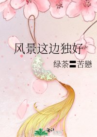 《风景这边独好》
