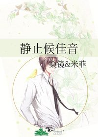 《静止候佳音》
