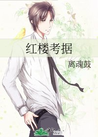 《红楼考据》