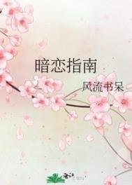 《暗恋指南》