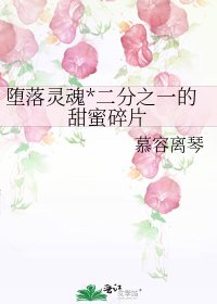 《堕落灵魂*二分之一的甜蜜碎片》