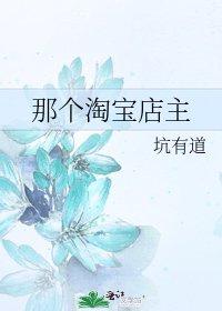 《那个淘宝店主》