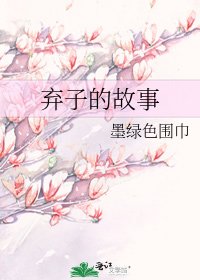 《弃子的故事》
