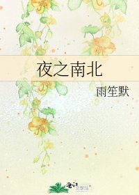 《夜之南北》