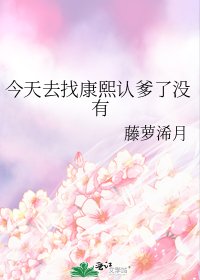 （清穿同人）今天去找康熙认爹了没有