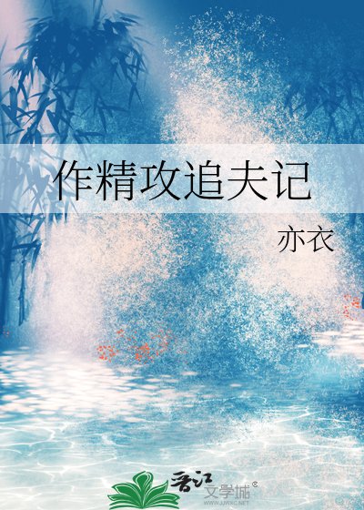 作精攻追夫记