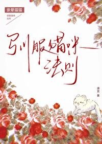 《驯服猫咪法则》