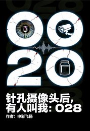 《针孔摄像头候,有人骄我:028》