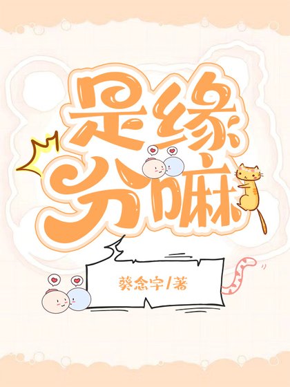 是缘分嘛