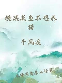 《(综漫同人)横滨咸鱼不想养猫》
