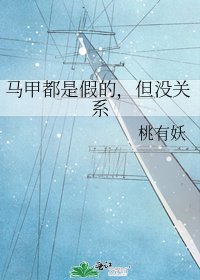 马甲都是假的，但没关系