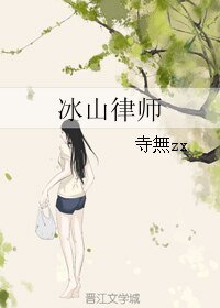 冰山律师