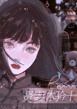 《开局附送贤妻体验卡》